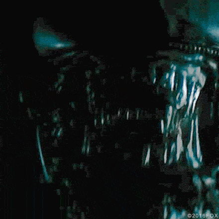 ridley scott xenomorph GIF by foxhorror