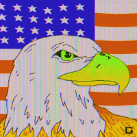 Memorial Day GIF by gifnews