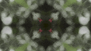 Art Love GIF by jorgemariozuleta