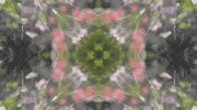 Art Film GIF by jorgemariozuleta