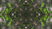 Art Love GIF by jorgemariozuleta