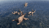 Elephant Sky Diving GIF
