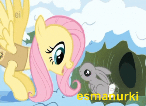 Mlp GIF