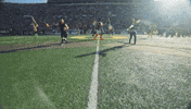 U Of O Duck GIF by University of Oregon