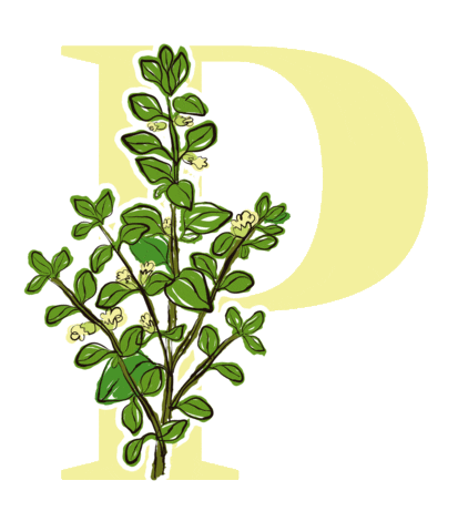 yerbaverdeflor giphyupload flower flowers argentina Sticker