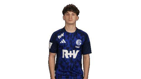 Schalke 04 Football Sticker by Bundesliga