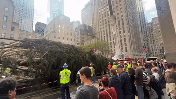 Rockefeller Center Christmas Tree Arrives in NYC