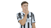 Svs1916 Sticker by SV Sandhausen