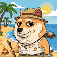 Shiba Inu Beach GIF by Doge Pound