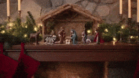 nativity scene gone wild