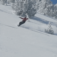 Yewww GIF by ikonpass