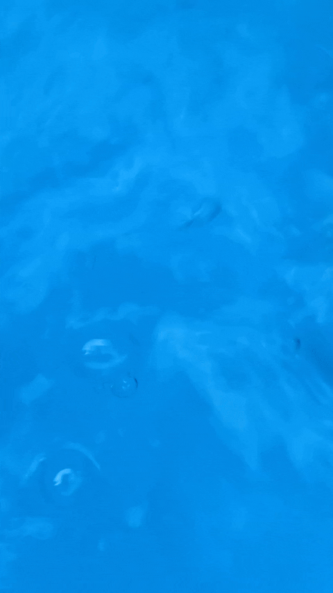 Simongip giphyupload GIF