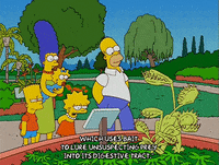 homer simpson GIF