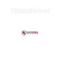 Handebol Sticker by Grupo Vessel