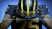 Go Blue College Football GIF by Michigan Athletics