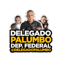 Deputado Federal Sticker by Delegado Palumbo