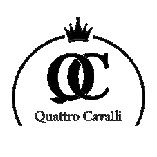 Fashion Logo Sticker by Quattro Cavalli