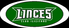 cilinces football verde blanco elche GIF