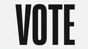 voting all star GIF by Charlotte Hornets
