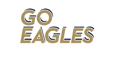 georgia southern football Sticker by Georgia Southern University - Auxiliary Services