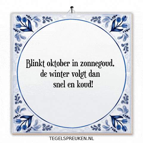 Winter Licht GIF by Tegelspreuken.nl