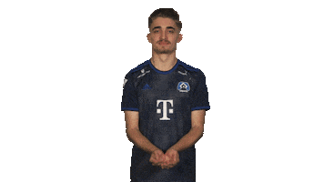 Hamburg Sticker by Bundesliga