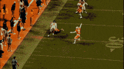 Football Ut GIF by Tennessee Athletics