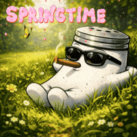 Good Vibes Smoking GIF by SALT