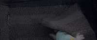 jacob tremblay room the movie GIF by Room
