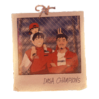 Car Beach Sticker by Acura