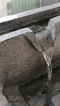 Irish Weekday GIF by Sheds Direct Ireland