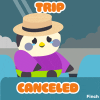 Happy Fun GIF by Finch Care