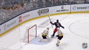 Happy National Hockey League GIF by NHL