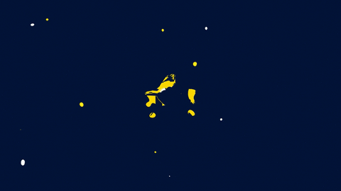 YDCteam giphyupload giphystrobetesting GIF