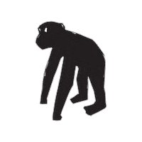 Monkey Ape Sticker by Mono Loco Falun