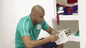 o que soccer GIF by SE Palmeiras