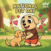 First Encounter Hearts GIF by Buddies for Paws