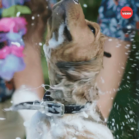 Drying off