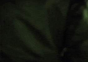 Short Film GIF by The Weeknd
