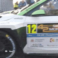 Racing Smoking GIF by FIA European Rally Championship
