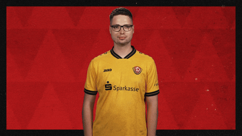 Dynamo Dresden Football GIF by Bundesliga
