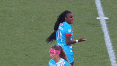 GIF by National Women's Soccer League
