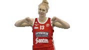 Basketball Hoops Sticker by Basket_fi