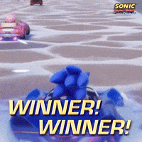 Winner Winner GIF by Sonic the Hedgehog