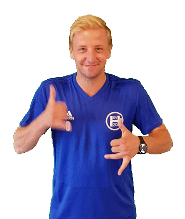 svheek giphyupload hsv heek svheek Sticker
