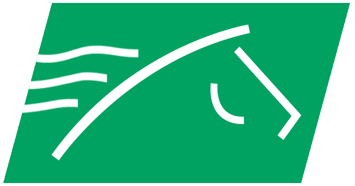 TVGMarketing giphyupload horse horses betting GIF