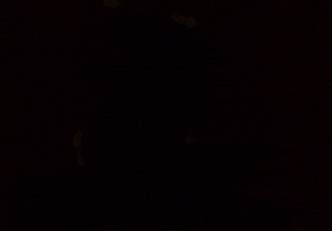 Lucifer Mohanlal GIF