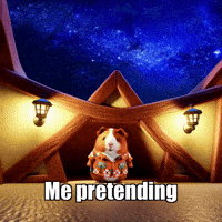 Unity Stars GIF by Guinea Gambino