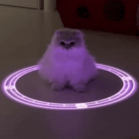 Sailor Moon Cat GIF by Respective