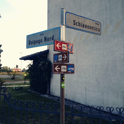 radrace #tourdefriends #mucvce GIF